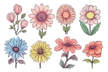 Floral set of hand drawn flowers. Botanical line art wallpaper with flowers, branches eaves. Pastel watercolor floral design for banner, prints, wall art and home decor, wedding invitation