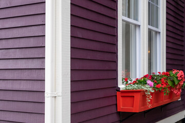 A vibrant purple colored clapboard wood framed house with white trim. There's a glass double hung window with a colorful red window box filled with red and pink flowers and white tiny flowers. 