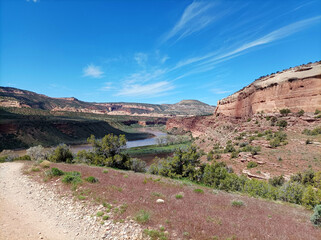 Colorado River (Colorado-Utah)