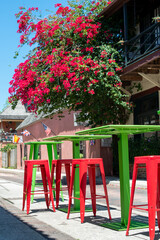 Vibrant red and colorful green colored metal pub size tables and chairs are on a sidewalk in front of a coffee shop with trees and red flowers blooming on the tree. There are stores along the street.