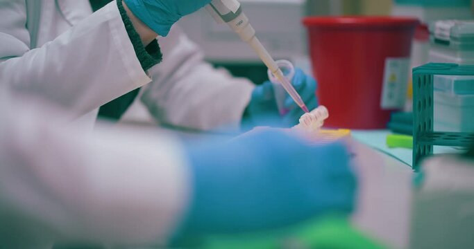 Health Care Laboratory Scientist Working on Vaccine Covid 19 Cancer Flu