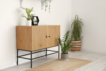 Stylish wooden cabinet with houseplants near white wall