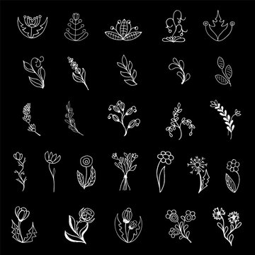 Hand-drawn flowers and branches on a black background. Individual drawings.