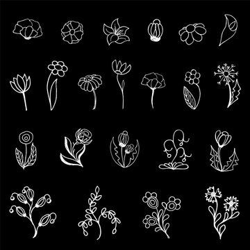 Hand drawn flowers and branches. Separate drawings
