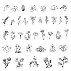 Set sketch style leaves and flowers. Separate drawings. Нand draw doodle sketch of flowers and...