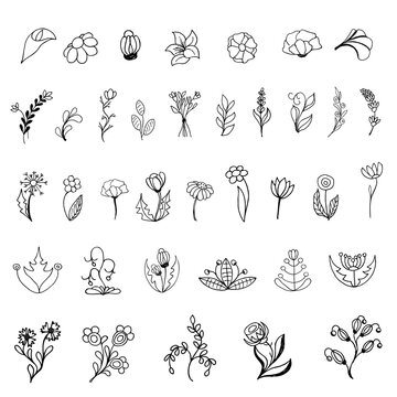Set sketch style leaves and flowers. Separate drawings. Нand draw doodle sketch of flowers and branches.