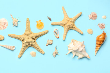 Seashells and starfishes on blue background