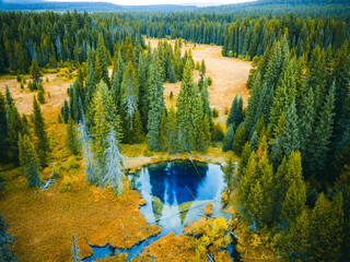 Scenic view over Little Crater Lake in Mount Hood National Forest, Oregon © Victoria Nefedova