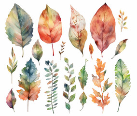 Watercolor illustration set of autumn leaves on the white background