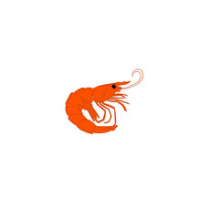 Shrimp Illustration Vector 