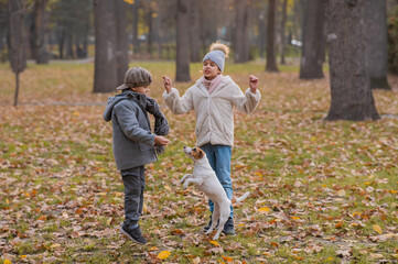 Fototapeta premium Caucasian children are walking with jack russell terrier in autumn park. Boy, girl and dog are jumping outdoors.