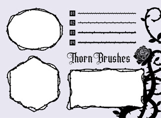 棘のある蔓のブラシ © Nagi Mashima