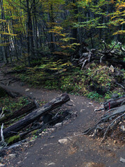 Mountains and nature in autumn