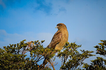 Nature and cities in autumn