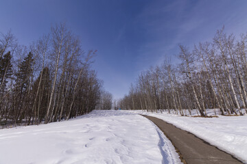 Obraz premium Along a Hiking Train in Winter