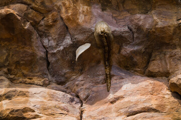 Abandoned white beehive or honeycomb on a cliff or rock.
