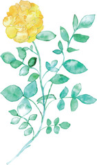 Obraz premium 水彩画。水彩タッチの黄色いバラベクターイラスト。水彩画の薔薇背景。Watercolor painting. Yellow roses vector illustration with watercolor touch. Watercolor rose background.