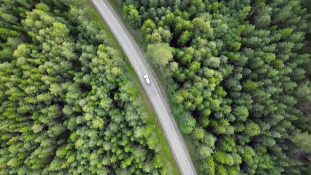 Following a car from above in Swedish forest
