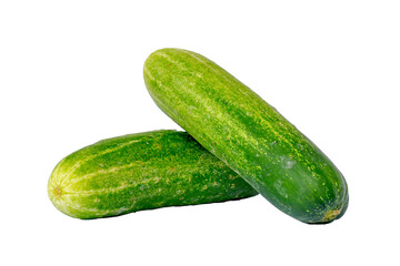 Two cucumbers for fresh vegetables