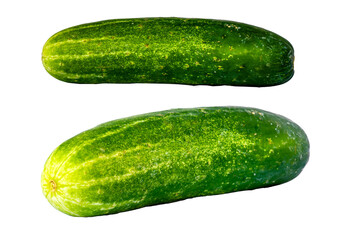 Two cucumbers for fresh vegetables