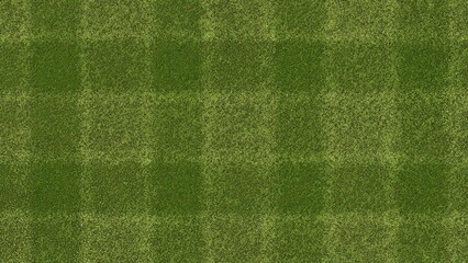 Fototapeta premium Green grass texture for sport background. Detailed pattern of green soccer field or football field grass lawn texture. Green lawn texture background. Close Up. 3D Rendering