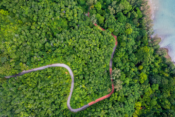 Top view of countryside road passing through the green forrest and mountain
