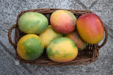 Fresh mangoes in a basket