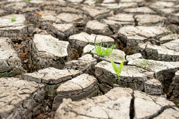 Cracked dry land without water.Abstract background