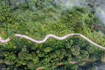 Top view of countryside road passing through the green forrest and mountain - 601258200