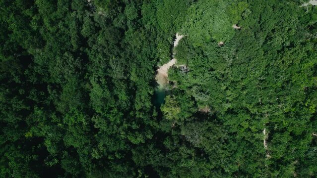 Aerial shot of a little blue pond in a huge green forest 4K drone