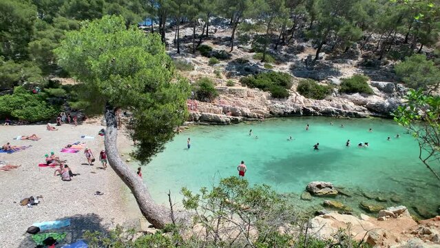 Port-Pin beach in Calanques national park Marseille France