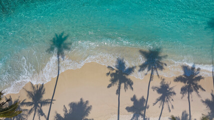 Fototapeta na wymiar Summer Palm trees shadow on the sandy beach and turquoise Tropical beach with blue background