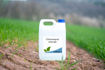 Chlormequat chloride a synthetic plant growth regulator used to reduce plant height and enhance...