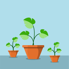 vector of plant pot with big green leaf 