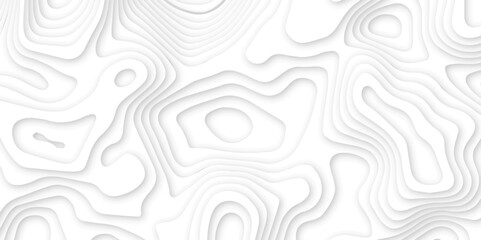 Abstract wavy line 3d paper cut white background. Topographic canyon geometric map relief texture with curved layers and shadow. Abstract realistic papercut decoration textured with wavy layers	