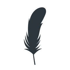 feather isolated on transparent background. PNG feathers