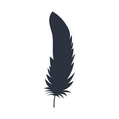 feather isolated on transparent background. PNG feathers