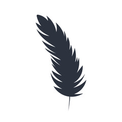 feather isolated on transparent background. PNG feathers