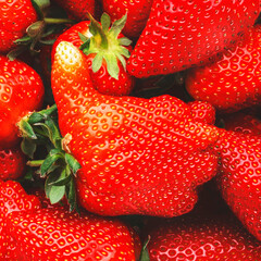 Unusual strawberry in the shape of hand with thumb up similar the like sign, berry background, top...