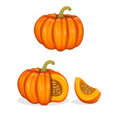 Pumpkin fruit symbol collection set cartoon illustration vector