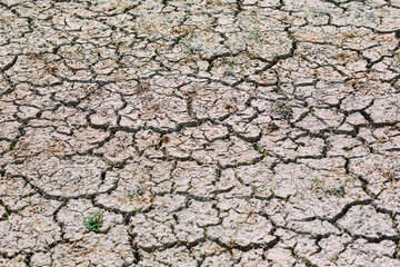 The clay surface is cracked by the dry season and the water shortage.