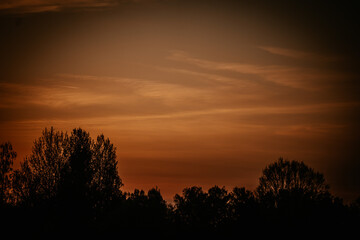 Fototapeta na wymiar Orange sky and silhouetted trees at sunset.