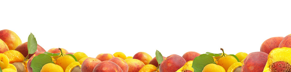 Peach and apricot isolated
