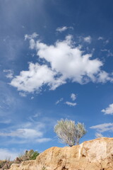 Fototapeta na wymiar White clouds and clear sky over the Grand Canyon 