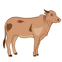 Illustration Sacrifical animal Or qurban animal to celebrate eid al adha.