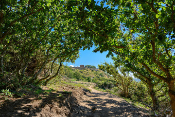 Blick vom Bornholmer Küstenwanderweg "Kyststi" auf die Ruine der Burg "Hammershus"
