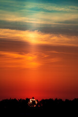Sunrise over forest in village landscape. Vertical view.