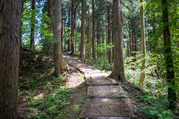 石川県鹿島郡中能登町の石動山を春の晴れた日に登山する風景 Scenery of climbing Mt. Ishidou in Nakanoto-cho, Kashima-gun, Ishikawa Prefecture on a sunny spring day.