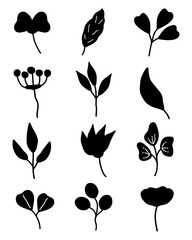 Set of hand-drawn flower, leaf, plants and flowers elements. Isolated branches on a white background.