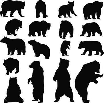 Silhouettes of grizzly bears